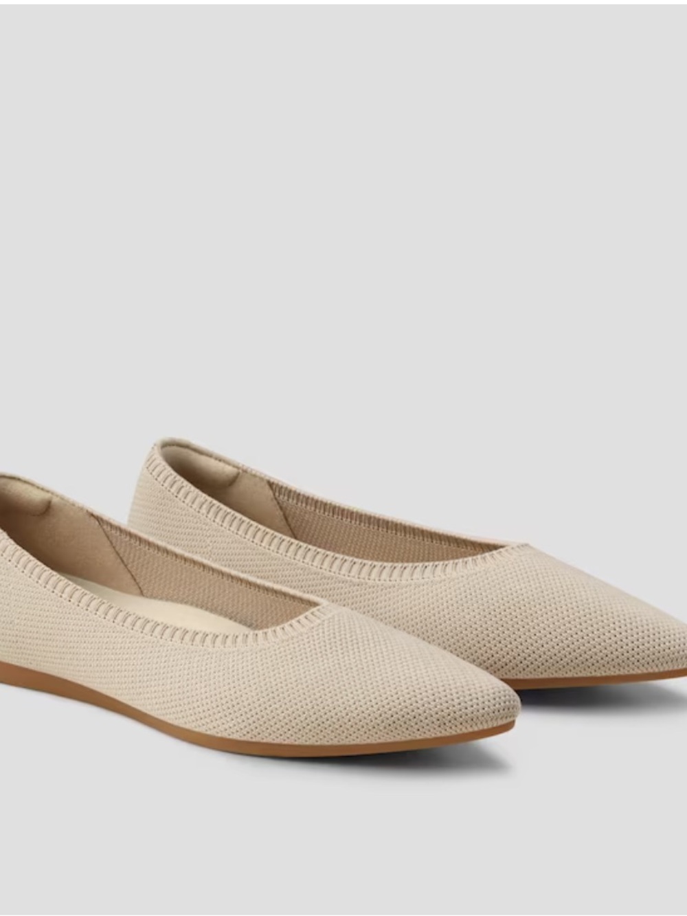 Vivaia Pointed Toe Ballet Flats NWOT